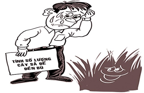 Cây nào cũng là cây?