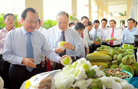 Củ Chi trở thành huyện nông thôn mới đầu tiên