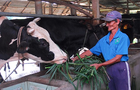 Vào TPP là phải ‘đấu’ từ miếng thịt, ly sữa
