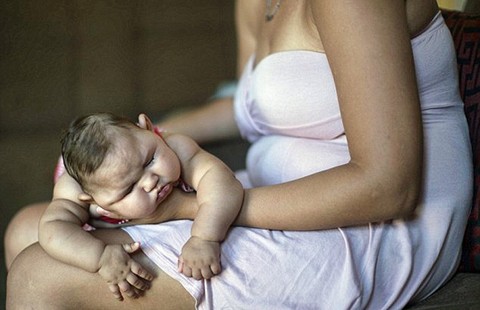 Khẩn cấp ngăn chặn virus Zika