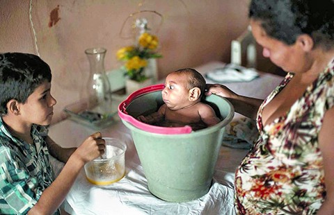 Virus Zika khó phát sinh thành dịch