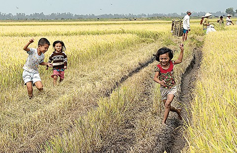 Ăn tết ngoài đồng