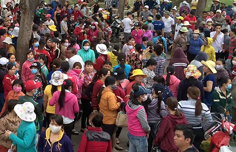 Đình công do nhập nhằng lương, thưởng...
