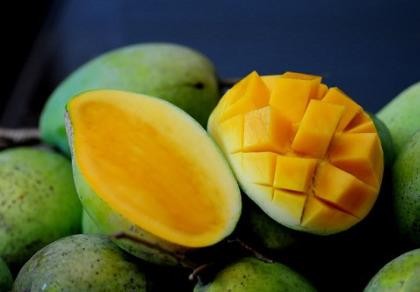 Xoài Việt có cơ hội vào thị trường Úc