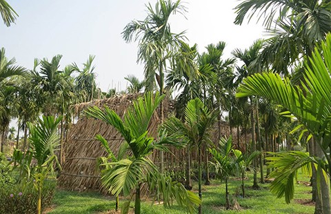 Nhớ Sài Gòn… khi ở Sài Gòn