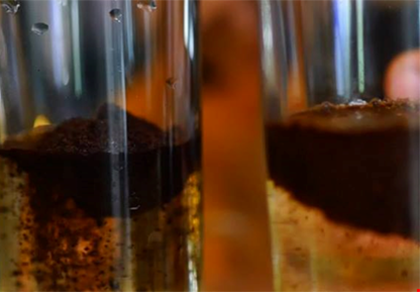 Phát hiện nhiều cà phê đểu, không có caffeine