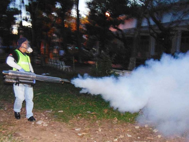 TP.HCM: Hơn 11.800 điểm nguy cơ sốt xuất huyết lẫn Zika