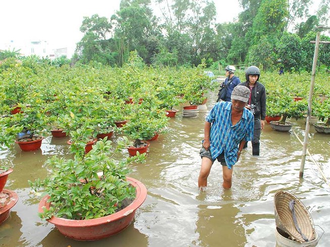Dân Sài Gòn phập phồng lo tết… ngập