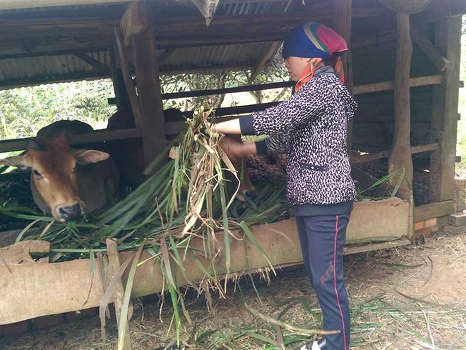 Thư ký tòa mua tài sản của bị đơn