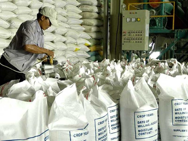 Doanh nghiệp ‘tố’ mất 20.000 USD xin giấy xuất khẩu gạo