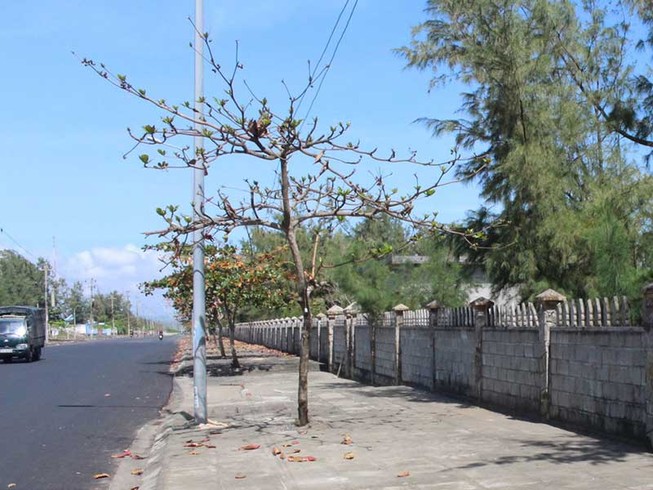 Lập dự án, bao đất vàng rồi… bỏ hoang