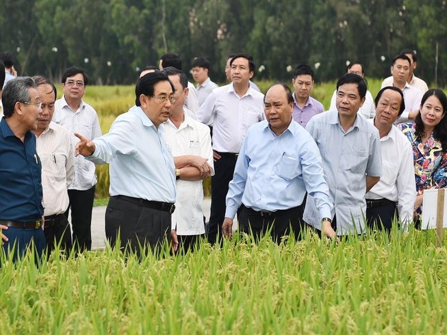 Thủ tướng: ‘Cần nhân rộng mô hình nông nghiệp sạch’