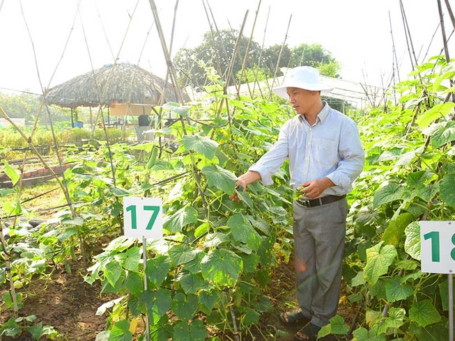 Quá nhiều ‘rào cản’ với nông nghiệp organic