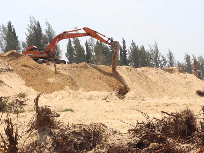 Thủ tướng chỉ đạo làm rõ vụ Phú Yên phá rừng