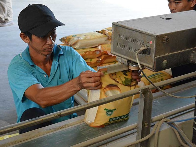 Hạt gạo Việt Nam bị chê