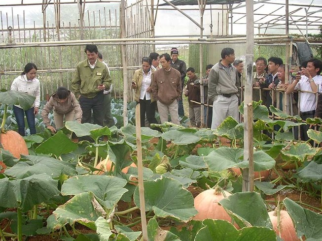 ‘Cò’ làm nhiễu du lịch Đà Lạt