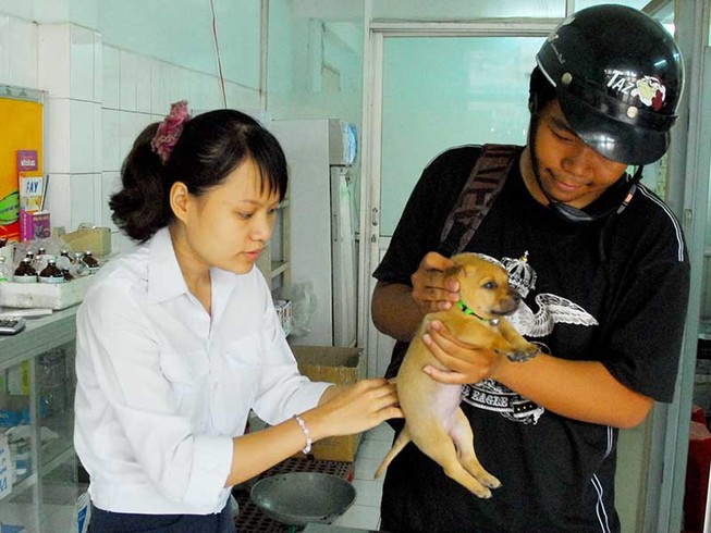 Chạy lòng vòng xét nghiệm bệnh chó dại