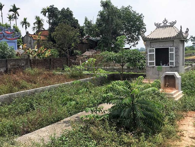 Trưởng thôn bị truy tố tội lợi dụng chức vụ, quyền hạn