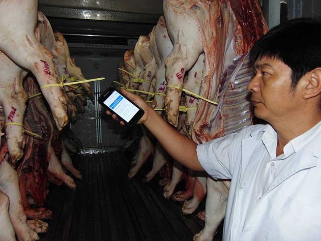 Không thể ‘soi’ thuốc an thần trong thịt heo