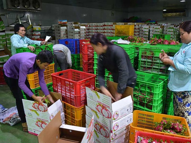 Thị trường Trung Quốc thay đổi, nhiều DN Việt lao đao