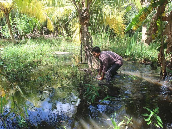 Bến Tre: Thi công quốc lộ, hàng chục hộ dân kêu cứu