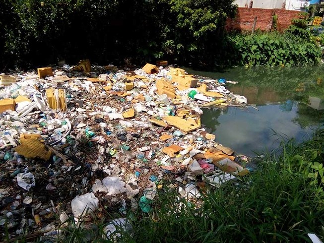 TP.HCM: Nhiều kênh ‘chết’ sẽ hồi sinh