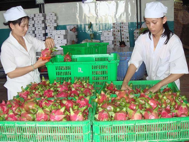 Hàng Việt nhộn nhịp xuất ngoại đầu năm