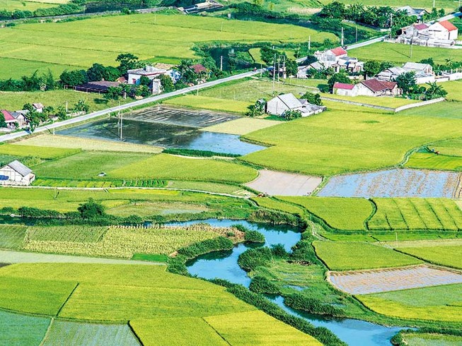 Con đường thiên lý của nước Việt