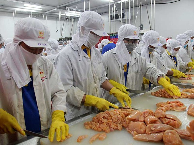 Mở đường triệt giấy phép con
