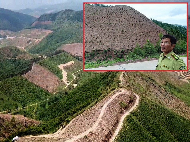 Rừng phòng hộ bị ‘cạo trọc’