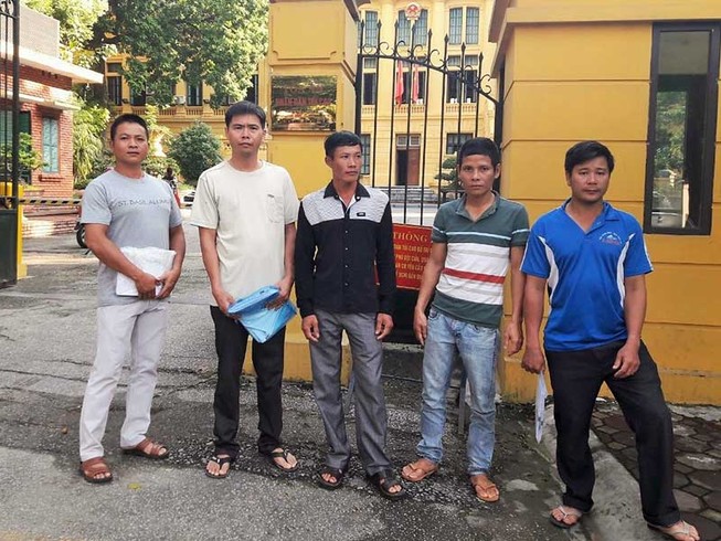 Cưa cây chết khô bị tội nặng hơn cưa cây còn sống?