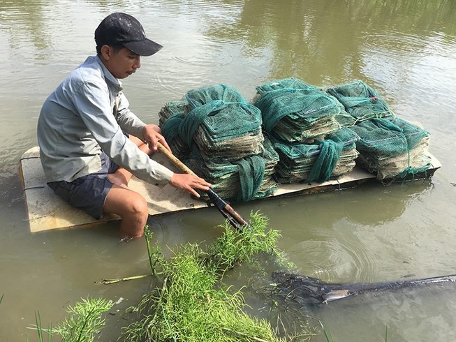 Dân khốn khổ với mùi hôi ‘lạ’ ở Bình Chánh