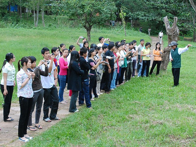 Buộc giám đốc công ty du lịch đi học: Chuyện khôi hài!