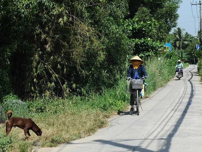 TP.HCM: Tiếp tục rà soát, bỏ dự án treo