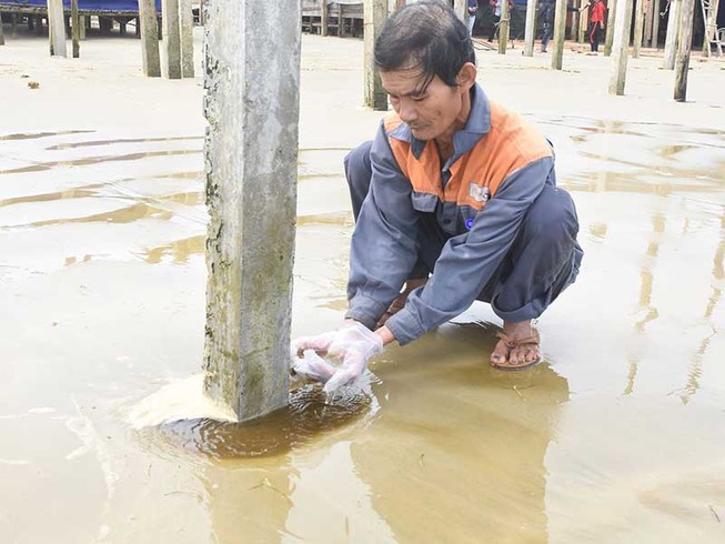 Quảng Ngãi: Nước biển chuyển màu bất thường