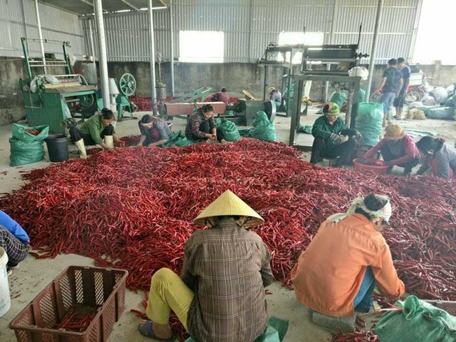 Trung Quốc siết tiểu ngạch, hàng Việt tuột dốc