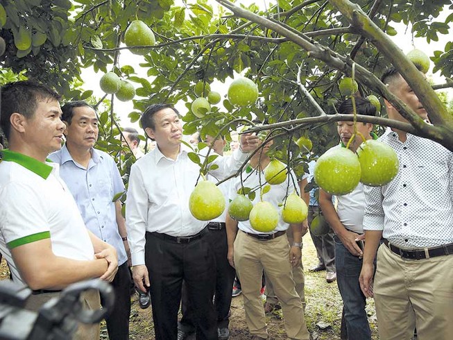 Thành quả 2019 tạo đà về đích cho năm 2020