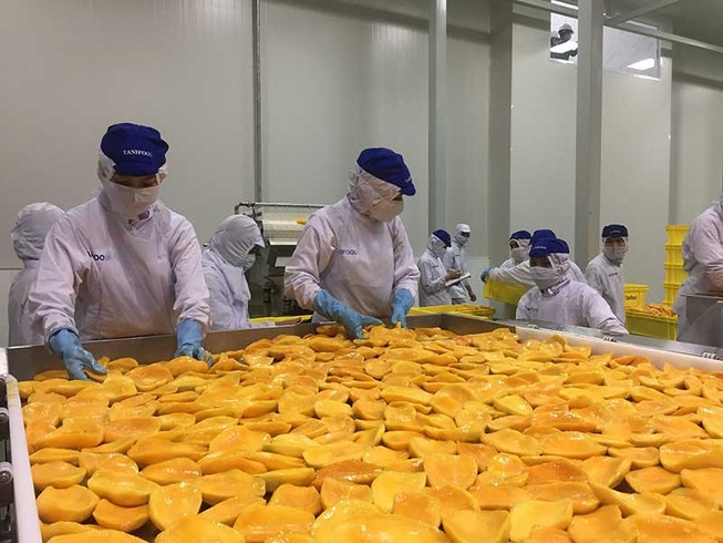 Bộ trưởng Công Thương: ‘Xuất khẩu 300 tỉ USD là thách thức’