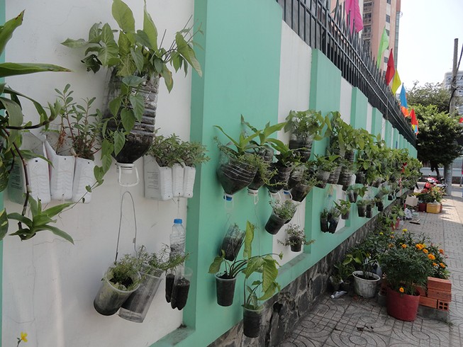 Ly, chai nhựa thành chậu hoa phủ xanh con hẻm