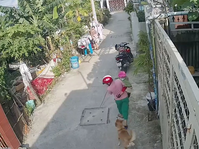 Hàng xóm mất lòng nhau vì chuyện chó cắn