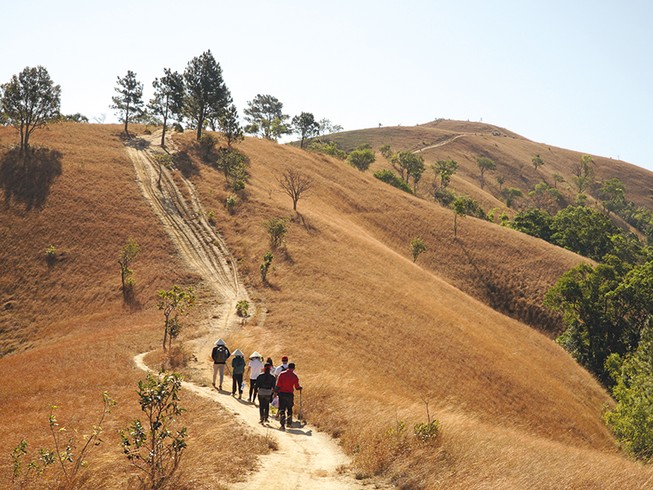 Trekking đi tìm món quà vô giá từ rừng