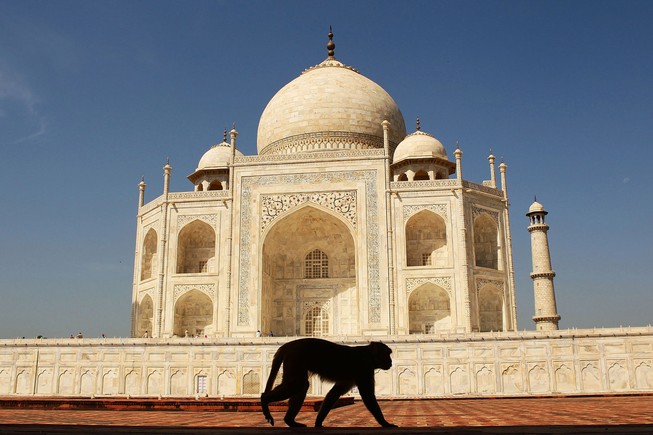 Ấn Độ: Trang bị ná cao su bảo vệ ông Trump thăm đền Taj Mahal