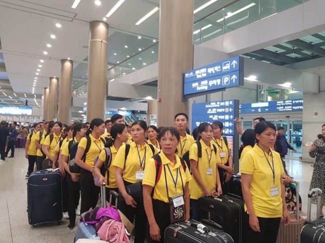 Nhiều lao động Việt sang Hàn không biết làm nghề