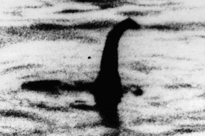 Quái vật hồ Loch Ness là một con lươn khổng lồ?