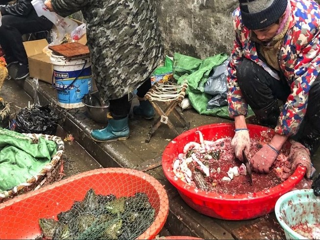Việc buôn bán và giết mổ động vật hoang dã được cho là nguyên nhân lây truyền virus corona. Ảnh: South China Morning Post