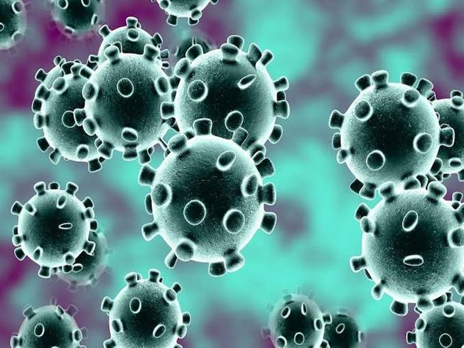 Virus Vũ Hán dễ lây qua nam giới hơn so với nữ giới. Ảnh: WEBMD