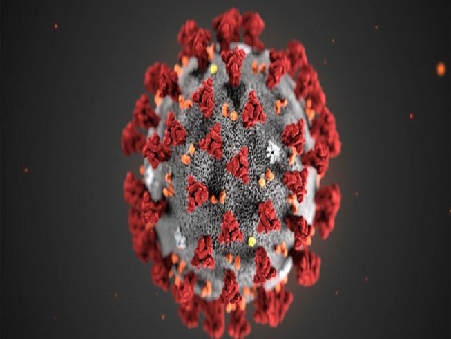 Chủng mới của virus Corona sẽ sớm có tên gọi chính thức. Ảnh: AP