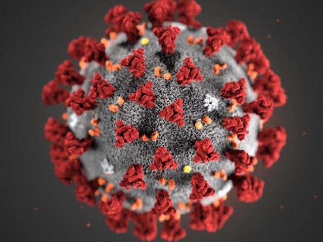 Chuyên gia vừa phát hiện virus gây dịch COVID-19 có biến thể mới nguy hiểm hơn. Ảnh minh hoạ: REUTERS