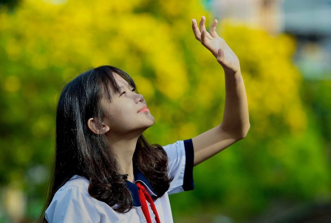 Bộ ảnh: Huỳnh liên nở rợp trên đường phố Sài Gòn