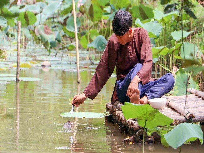 Độc đáo đàn cá 'chảnh', ăn phải đút bằng muỗng